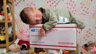 Reborn Baby Box Opening - What Reborns Did We Get? Getting Realistic Newborn Baby Ready to go Home