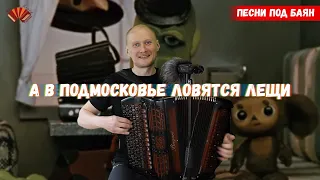 В Подмосковье ловятся лещи/ Евгений Попов - баянист