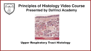 Upper Respiratory Tract Histology [Respiratory 1 of 2]