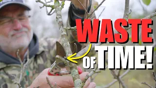 STOP wasting your TIME growing FRUIT TREES & Do THIS instead!