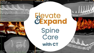 Elevate & Expand your SPINE practice with CT