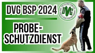 DVG BSP Probeschutzdienst 2024