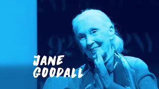 The David Rubenstein Show: Jane Goodall