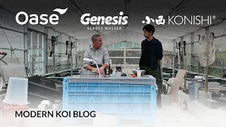 Modern Koi Blog #5569 - Live aus Japan: Die Geschichte der Konishi Koi Farm