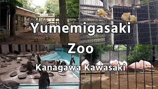 夢見ヶ崎動物公園を散策(川崎市幸区)　Dji osmo pocket　| Yumemigasaki Zoo