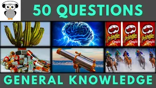 General Knowledge Quiz Trivia #24 | Cactus, Brain Lobe, Pringles, Battery Telescope, Horse Sport