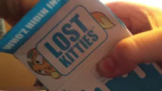 Open up lost kitties