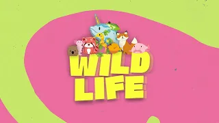 It's Wild! - Wild Life VBS Song