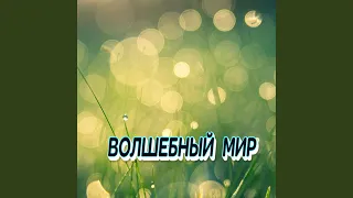 ВОЛШЕБНЫЙ МИР