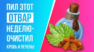 ПИЛ ЭТОТ ОТВАР НЕДЕЛЮ! ОЧИСТИЛ КРОВЬ И ПЕЧЕНЬ!