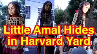 Little Amal Hides in Harvard Yard #littleamal #publicart