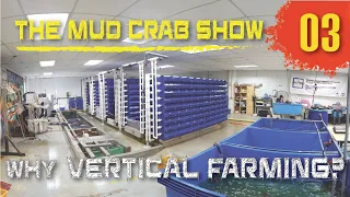 RAS Vertical Farming for Mud Crabs [ENGLISH | MALAY Subs] | Episode 3 | The Mud Crab Show
