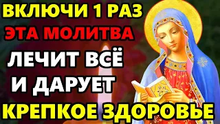 СЕГОДНЯ ЕЕ ДЕНЬ! Исцеление от всех болезней, здоровье! Сильная Молитва Богородице. Православие