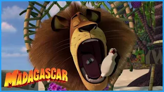 DreamWorks Madagascar | This Is Better Than Steak | Madagascar Movie Clip