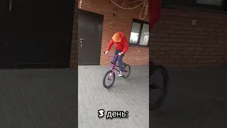 как я учил фуджем вип #bmx