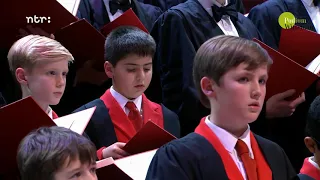The Choir of St John's College, Cambridge - The Shepherd’s Carol| Podium Witteman