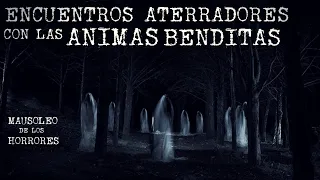 EXPERIENCIAS CON LAS ANIMAS DEL PURGATORIO VOL. 3 | HISTORIAS DE TERROR