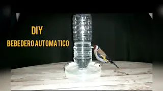 DIY:bebedero automatico para aves. como hacerlo en 5MINUTOS