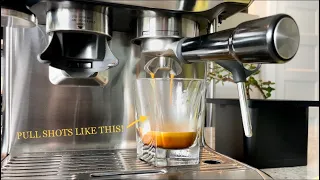 How To Pull The Perfect Espresso Shot Using A Breville Barista Express Machine