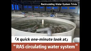 RAS system