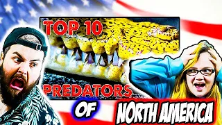 Irish Couple Reacts to Top 10 Predators of North America!