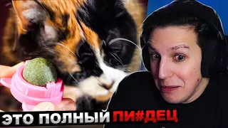 МАЗЕЛЛОВ СМОТРИТ СЛИВКИ ШОУ - ВОТ ЧТО МЫ КУПИЛИ НА ALIEXPRESS | РЕАКЦИЯ МАЗЕЛОВА SlivkiShow