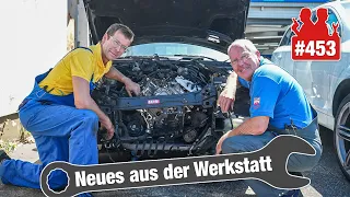 BMW-Fehler vor Verkauf vertuscht? 2.400€ Schaden!! 😡😡 | Fiat 500 - Fehlzündungen nach Riemenwechsel?