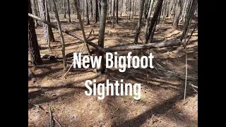 New Bigfoot Sighting South Warrenton NC 8:30 am 3/28/2022