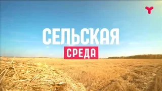 Сельская среда 11 03 2020