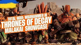Дивлюсь на Малакая !  Thrones of Decay!  |Total War Warhammer 3|