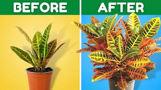9 Ways To Turbocharge Your Plants Growth
