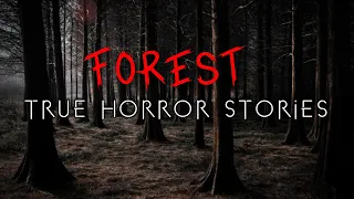 3 Unnerving Forest Hiking & Camping Horror Stories