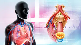 Cure Pneumonia: Just Listen For 4 Minutes, Your Body Will Have Clear Changes, Immediate Effect