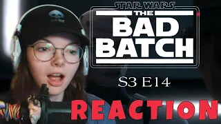 The Bad Batch S3 Ep14: "Flash Strike" - REACTION!