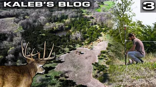 The Next Step For An Iowa Giant, Protecting Food Next To Deer Bedding | Kaleb's Blog