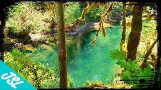 7 BEST Hidden Gem Swimming Holes of Oregon