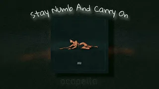 madison beer - stay numb and carry on (acapella)