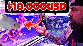 TOUR OF THE BIGGEST FISH MARKET IN THAILAND! SO MANY AMAZING FISH