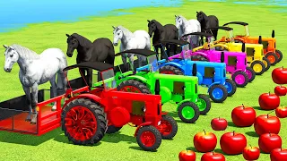 TRANSPORT HORSES & APPLES WITH FENDT & LANZ TRACTORS - Farming Simulator 22