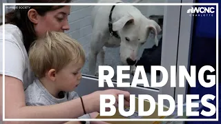 Kids in Charlotte practice reading skills by reading to shelter pets