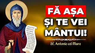 Fă așa și te vei mântui! – Sf. Antonie cel Mare