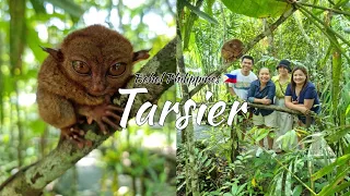 TARSIER CONSERVATION AREA 2022 | Bohol Philippines 🇵🇭 #Bohol #Tarsier #Philippines [4K]