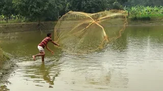 Net Fishing | Catching Fish With Cast Net | Net Fishing in the village (Part-75)