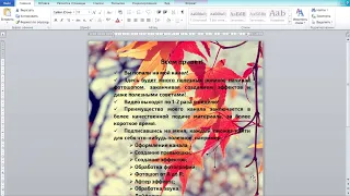 Картинка За Текстом В Word #shorts