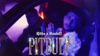 RITKO MDFK x DAUTOFF - PitBuli (OFFICIAL MUSIC VIDEO)