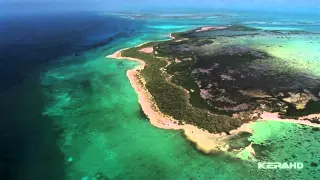 UNDERWATER Cuba. Подводный мир Кубы