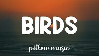 Birds - Imagine Dragons (Lyrics) 🎵