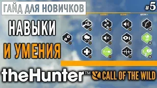 theHunter Call of the Wild #5 🔫 - Навыки и Умения - ГАЙД для Начинающих