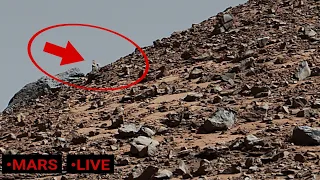 Mars Perseverance Rover Sent Shocking Live Footage - NASA Curiosity Mission Latest Pictures Update