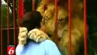 Aww lion hugs women so cute!